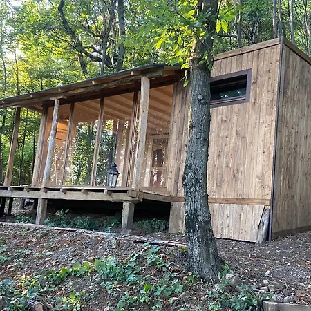 Suxen Nature Experience - Zen *